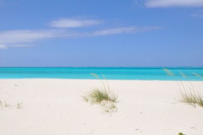 Scenic view of beach against blue sky