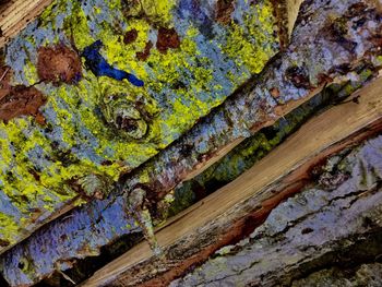 Full frame shot of old tree trunk