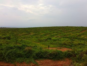 Scenic view of landscape against sky
