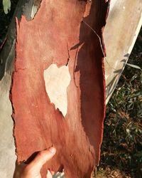 High angle view of damaged heart shape on wood