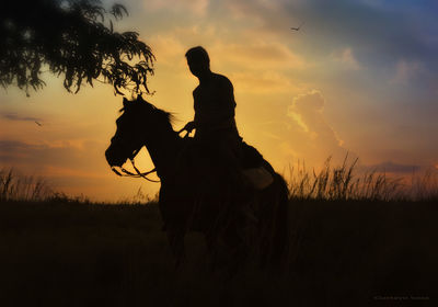 Silhouette man riding horse on field against sky during sunset