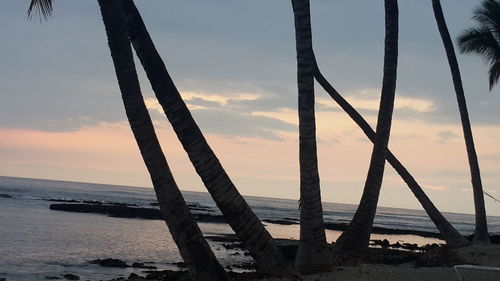 Scenic view of sea at sunset