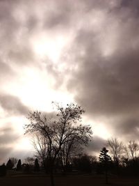 Silhouette of trees on field against cloudy sky