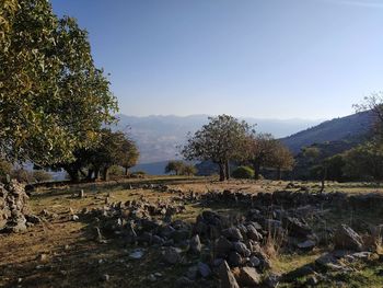 Scenic view of cemetery against sky