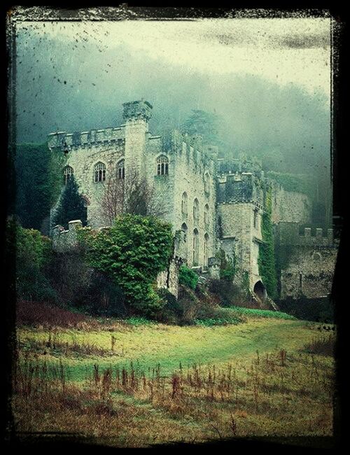 transfer print, building exterior, architecture, built structure, auto post production filter, sky, grass, history, residential structure, city, house, building, field, day, tree, old, outdoors, residential building, castle, no people