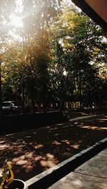 Road by trees in city during sunset