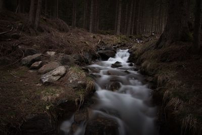 Stream flowing through rocks in forest