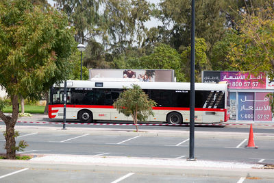 Vehicles on road against trees in city