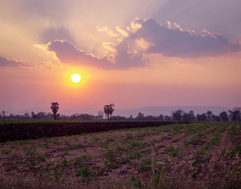 Scenic view of field against sky during sunset