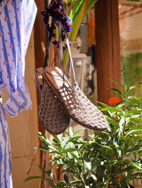 Close-up of potted plant hanging on clothesline