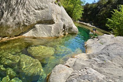 River flowing through rocks