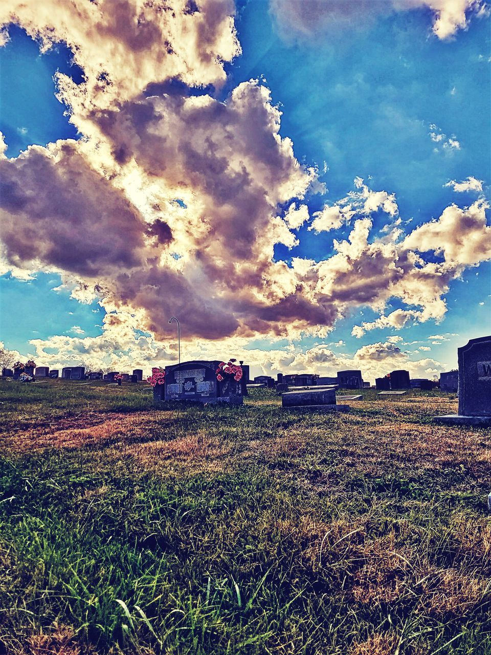 TRAIN ON FIELD AGAINST SKY