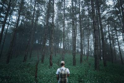 Rear view of man standing against trees in forest