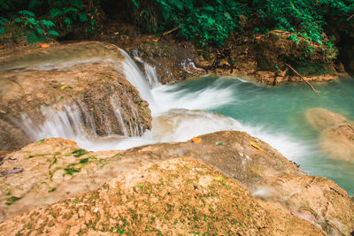 Scenic view of waterfall in forest