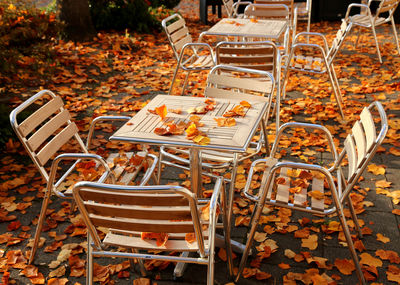 Autumn leaves on chairs and table at sidewalk cafe