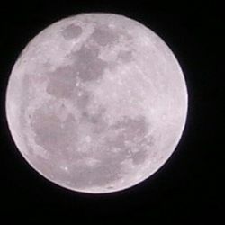 Low angle view of moon in sky