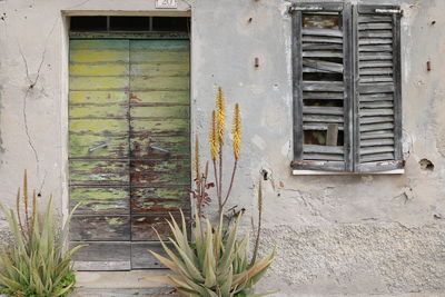 Closed door of old building