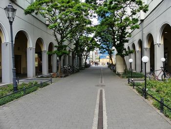 Empty road amidst buildings in city