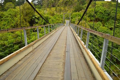 Footbridge in forest