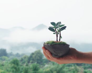 Cropped hand of person holding potted plant against sky