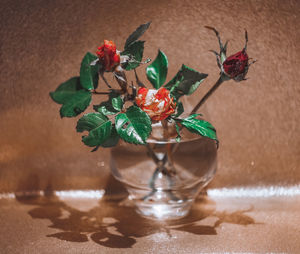 Close-up of vase on table against wall