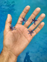 High angle view of human feet on swimming pool