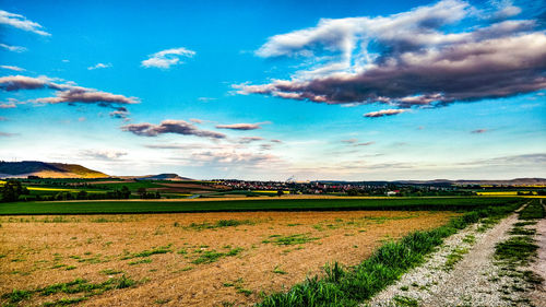 Scenic view of agricultural field against sky