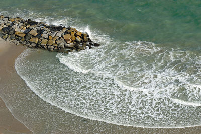 View of crab on beach