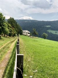 Scenic view of grassy field against sky