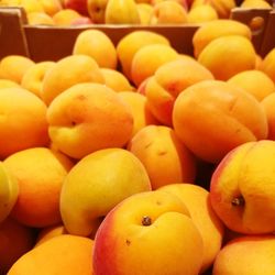 Close-up of fruits for sale at market stall