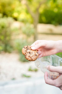 Close-up of hand holding food