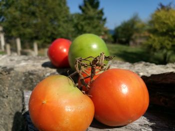 Close-up of red fruit