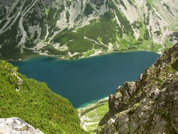 Scenic view of lake by trees