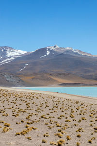 Scenic view of snowcapped mountains against clear blue sky