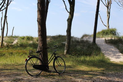 Bicycle by tree against sky