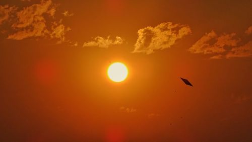 Silhouette bird flying against orange sky