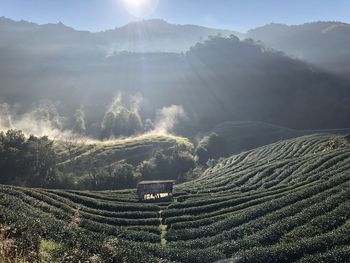 Scenic view of agricultural field against mountains