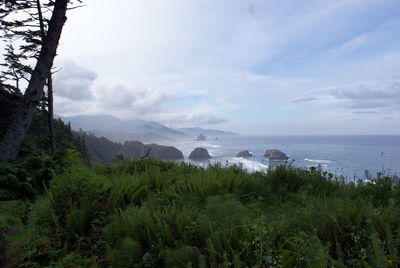 Scenic view of calm sea against clear sky