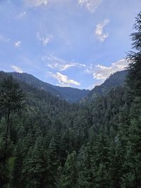 nature