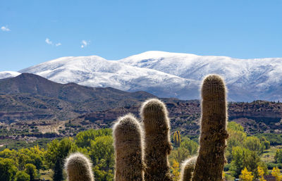 Scenic view of snow covered land and mountains against sky