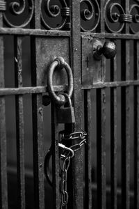 Close-up of padlock on metal gate