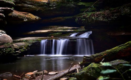 Scenic view of waterfall in forest