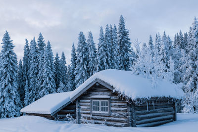 Snow covered trees on field against sky