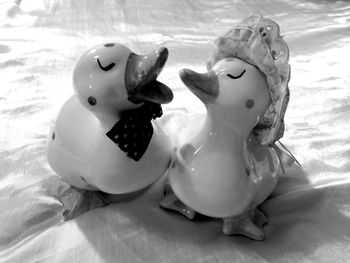 Close up of plant against blurred background