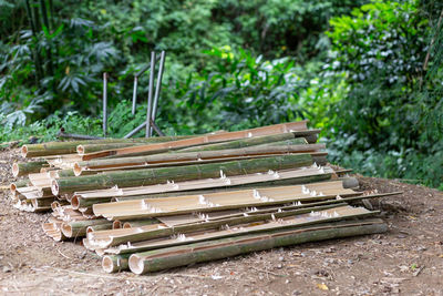 Close-up of wooden fence