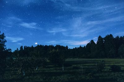 Scenic view of trees against sky at night