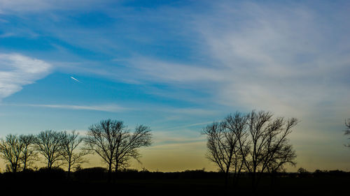 Silhouette bare trees on field against sky at sunset