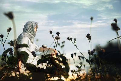 Close-up of flowering plants with man sitting in background against sky