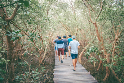 Rear view of people walking on footpath in forest