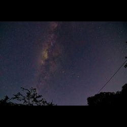 Low angle view of trees against sky at night